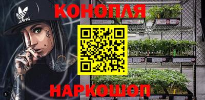 стаф Лесосибирск