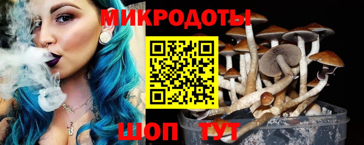 Галлюциногенные грибы мухоморы  Галлюциногенные грибы Psilocybe  Жуковский  Вход с VPN 