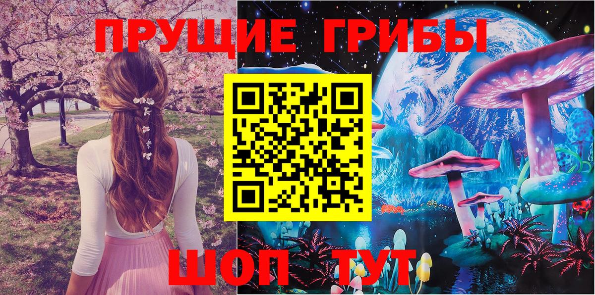 Псилоцибиновые грибы мицелий Жуковский